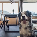 Parsenn * Davos