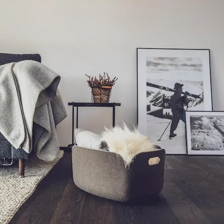 Parsenn Apartment Davos