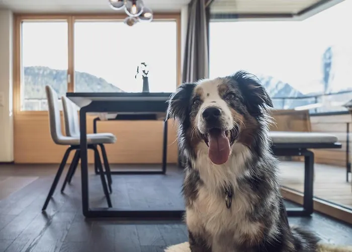 Parsenn * Давос